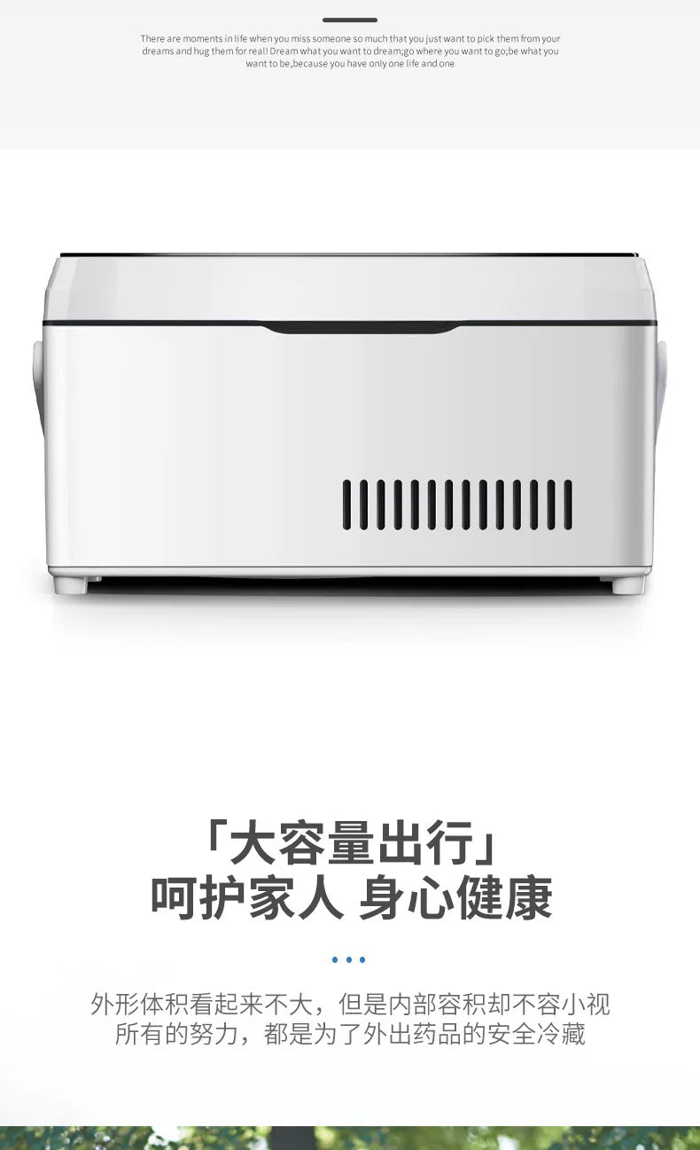 Portable Peptide Travel Fridge